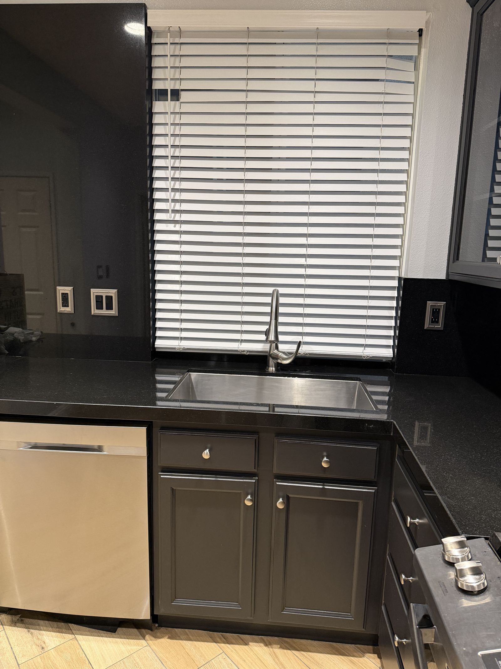 Kitchen sink and dishwasher